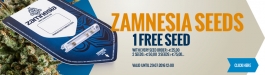 Free Zamnesia Seeds